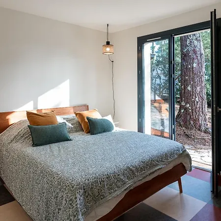 Coudiney * Biscarrosse