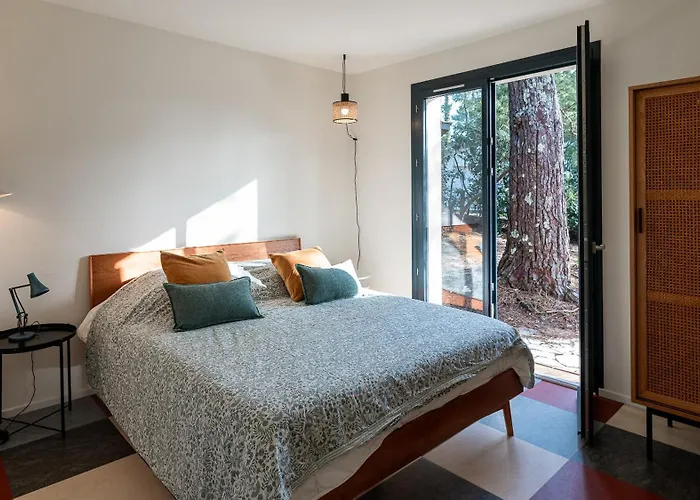 Coudiney * Biscarrosse